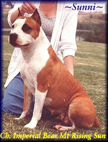 AKC CH IMPERIAL BEAR MT RISING SUN